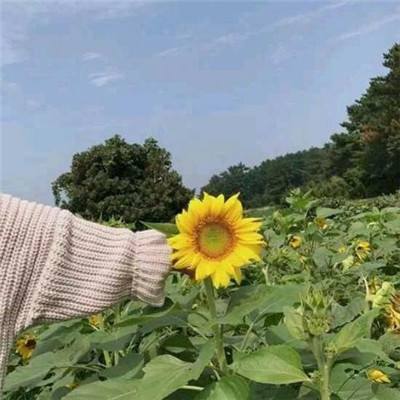 山海经传奇手游下载